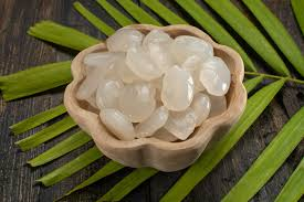 Manfaat Kolang-Kaling